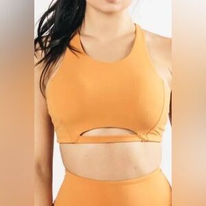 Alphalete Pulse Surge Sports Bra - Sun Eclipsed